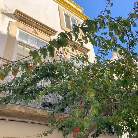 Appartamento Cabreira Suites | Historical Centre *